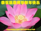 ֹ,ൺ󷨵ӹףʦ(23)