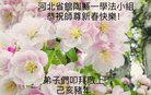 ֹ,ӱ󷨵ӹףʦ(22)