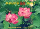 ֹ,ൺ󷨵ӹףʦ(23)