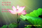 ֹ,ӱ󷨵ӹףʦ(26)