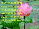 ���ֹ�,���ݴ󷨵��ӹ�ףʦ�������(25��)