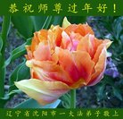 ֹ,󷨵ӹףʦ(20)