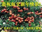 法轮功,广东大法弟子恭祝师尊新年好(22条)