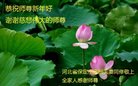 ֹ,󷨵ӹףʦ(23)
