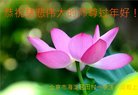 ֹ,󷨵ӹףʦ(24)