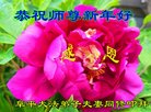 法轮功,河北大法弟子恭祝师尊新年好(29条)