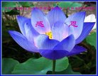 ���ֹ�,�����󷨵��ӹ�ףʦ�������(21��)