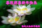 法轮功,保定大法弟子恭祝师尊新年好(24条)