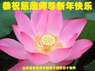 ֹ,ൺ󷨵ӹףʦ(23)