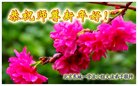 ֹ,󷨵ӹףʦ(24)