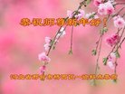 ֹ,ӱ󷨵ӹףʦ(20)