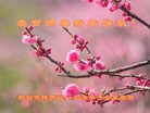 ֹ,ӱ󷨵ӹףʦ(20)