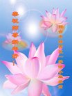 ֹ,ӱ󷨵ӹףʦ(20)