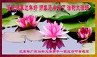 ֹ,㶫󷨵ӹףʦ(28)