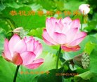 法轮功,青岛大法弟子恭祝师尊新年好(23条)