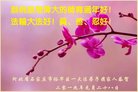 ֹ,ʯׯ󷨵ӹףʦ(22)