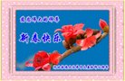 ֹ,ӱ󷨵ӹףʦ(20)