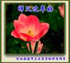 ֹ,ӱ󷨵ӹףʦ(20)