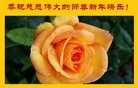 ֹ,󷨵ӹףʦ(24)