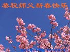 ֹ,󷨵ӹףʦ(23)