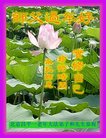 ֹ,󷨵ӹףʦ(24)