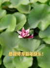 ֹ,󷨵ӹףʦ(19)