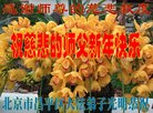 ֹ,󷨵ӹףʦ(21)