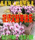 ֹ,󷨵ӹףʦ(19)