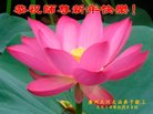 ֹ,ݴ󷨵ӹףʦ(25)