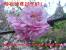 ֹ,ʯׯ󷨵ӹףʦ(28)