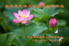 ֹ,ӱ󷨵ӹףʦ(24)