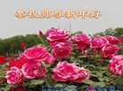 ֹ,ʯׯ󷨵ӹףʦ(28)