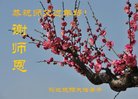 ֹ,ӱ󷨵ӹףʦ(24)