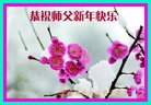 ֹ,ӱ󷨵ӹףʦ(24)