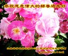 ֹ,ൺ󷨵ӹףʦ(25)