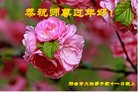 ֹ,ӱ󷨵ӹףʦ(21)