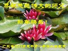 ֹ,㶫󷨵ӹףʦ(23)