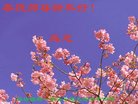 ֹ,Ϋ󷨵ӹףʦ(22)