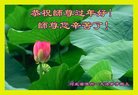 ֹ,󷨵ӹףʦ(24)