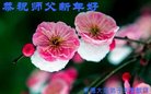 ֹ,ӱ󷨵ӹףʦ(21)