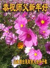 法轮功,山东大法弟子恭祝师尊新年好(28条)