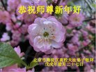 ֹ,󷨵ӹףʦ(24)