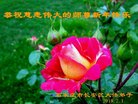 ֹ,ʯׯ󷨵ӹףʦ(23)