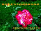 ֹ,ʯׯ󷨵ӹףʦ(23)