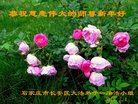 ֹ,ʯׯ󷨵ӹףʦ(23)