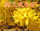 ֹ,ʴ󷨵ӹףʦ(28)