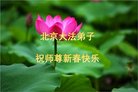 ֹ,󷨵ӹףʦ(24)