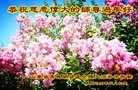 ֹ,ൺ󷨵ӹףʦ(28)
