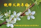 法轮功,石家庄大法弟子恭祝师尊新年好(26条)