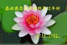 ֹ,ൺ󷨵ӹףʦ(25)
